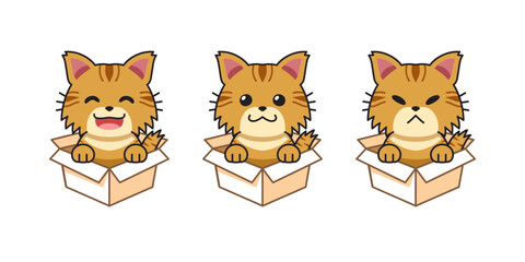 Vector cartoon illustration set of tabby cat showing different emotions in cardboard boxes for design.