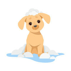 Cute little puppy with water and soap bubbles