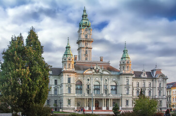Fototapeta na wymiar City hall of Gyor, Hungary
