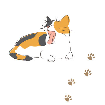 あくびするミケ猫と足跡