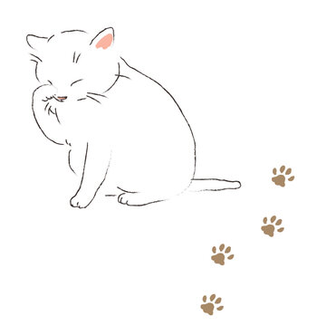 顔を洗う白い猫と足跡