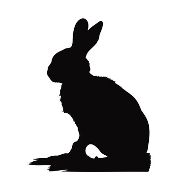 Rabbit black silhouette on white background. Vector Icon of Hare, bunny shadow, element for postcard, wildlife, zoo image. Rabbit animal in nature monochrome sticker or decal of wildlife hare shade