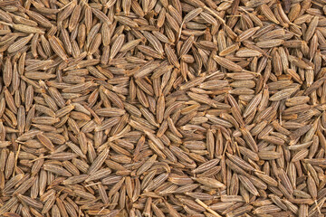 Dried cumin spice seeds background. Dry seasoning cumin. Spices and herbs for cooking zira