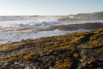 Fototapeta na wymiar rocky ocean coast