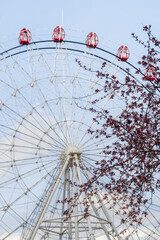 Focus on the branch with red leaves. Ferris wheel out of focus behind the branches against the blue sky.