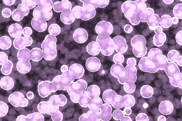 Shape of bacterial cell: cocci, bacilli, spirilla bacteria background
