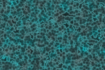 Shape of bacterial cell: cocci, bacilli, spirilla bacteria