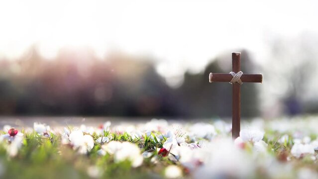 Cross symbolizing the death and resurrection of Jesus Christ, spring flowers and falling petals background with bright sunlight
