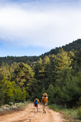 Obraz premium A child with mom walks along a forest path