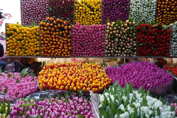Almaty, Kazakhstan - 06.03.2023 : Different bouquets of flowers on sale before the holidays.