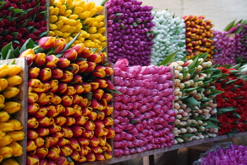 Almaty, Kazakhstan - 06.03.2023 : Different bouquets of flowers on sale before the holidays.