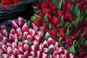 Almaty, Kazakhstan - 06.03.2023 : Different bouquets of flowers on sale before the holidays.