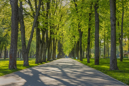 Charkiw Bilder Durchsuchen 24,381 Archivfotos, und