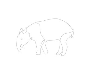 Tapir line art illustration. Unusual animal vector outline.