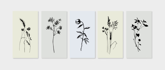 Fototapeta na wymiar Outline Wildflowers twigs set on color background in line art style. Greenery vector illustration in minimalist style for wedding invitation.
