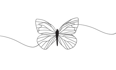 Butterfly line art drawing on white background. Сontoured butterfly wings. Outline vector illustration