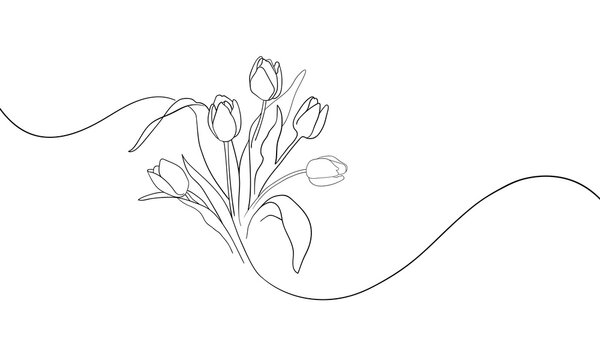 Tulips line art drawing on white background. Spring flowers bouquet. Outline vector illustration. 
