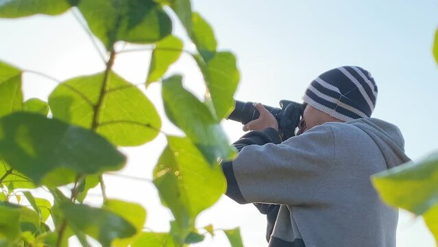 Photographer taking pictures with DSLR camera at park, leaf foreground, sunny
