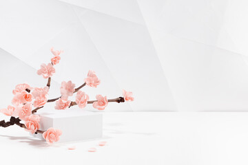 Fresh lush pink sakura flowers in sunlight on branch with rectangle white podium mockup in white...