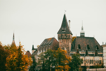 Fototapeta na wymiar Vajdahunyad castle in Budapest in magic autumn colors.