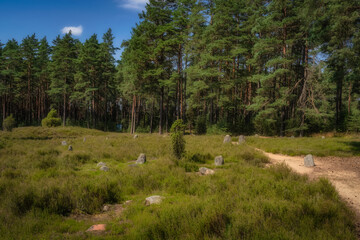 Fototapeta na wymiar Stone Circles at Odry surrounded by pine forest, an ancient burial and worship place. UNESCO Archaeological and Natural Reserve, Pomerania, Poland