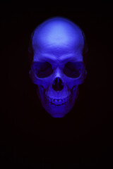 Purple Skull Soft Focus Aesthetic Retro Science Fiction Death 3d illustration render
