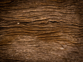 Natural wood texture background with copy space for artwork. Top view
