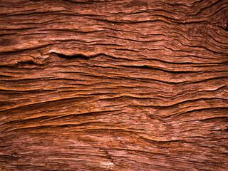 Natural wood texture background with copy space for artwork. Top view