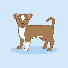 Vector cartoon illustration of chihuahua. The dog stands sideways with its head turned, isolated on a blue background. Pets, animals, dog theme - a design element in a flat style.