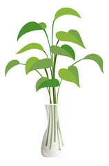 Green leaves branches in vase. Tree shoots home decoration