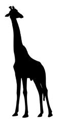 giraffe silhouette vector