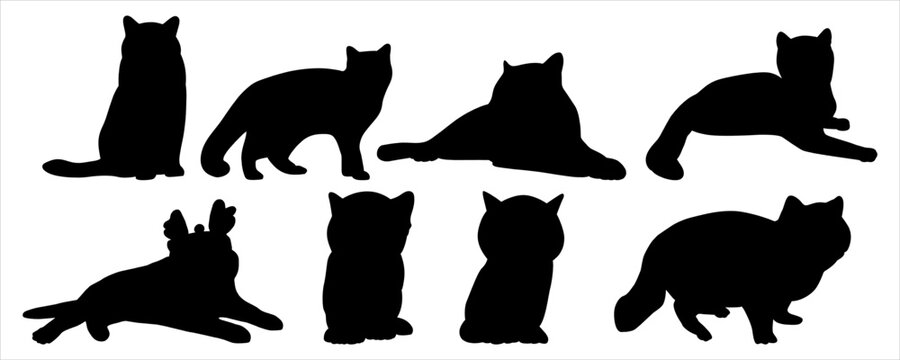 silhouettes of black british shorthair cat set in various poses on a plain background