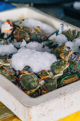 Fresh crabs with ice in a box at the market.