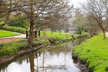 landscape with trees and pond