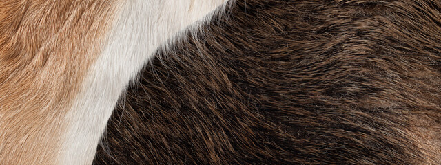 Natural fur. Boar and fallow deer leather. Surfaces contrasting in color and texture. Horizontal background.