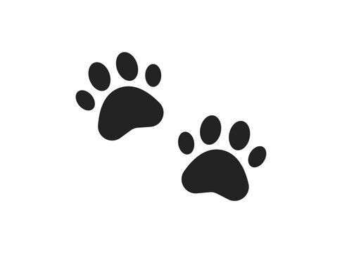 Paw line icon. Pet, dog, cat, walk, pads, feet, go, footprint, veterinary service, animal shelter, bear, fauna. animal care concept. vector line icon on white background