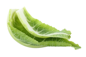Fresh leaves of chinese cabbage on white background, top view