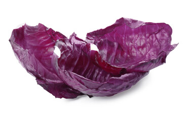 Two radicchio cabbage leaves on white background