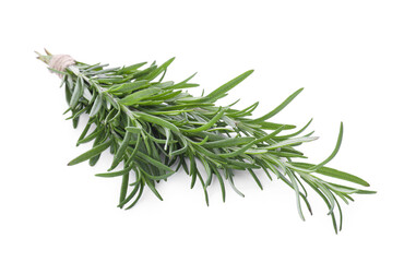 Fototapeta premium Fresh rosemary twigs tied with twine isolated on white