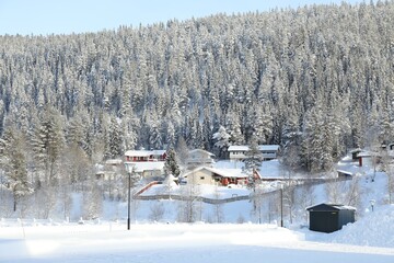Picturesque view of snowy forest and cottages outdoors. Winter landscapes
