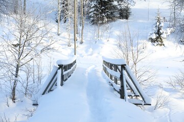 Beautiful view of railings, trees and bushes covered with snow on winter day