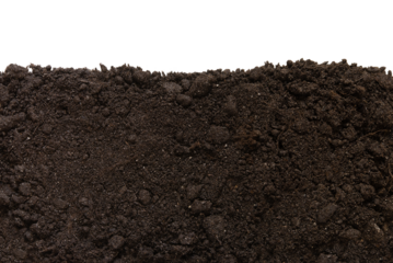 Soil patch texture isolated. Earth Day - April 22