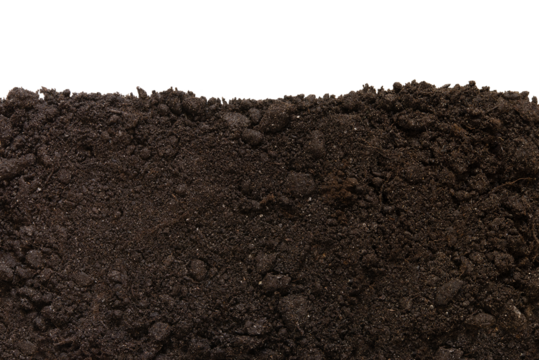Soil patch texture isolated. Earth Day - April 22