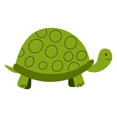 turtle cartoon illustration