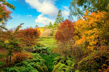 Mount Lofty public park on a day during the autumn season, Adelaide Hills, South Australia