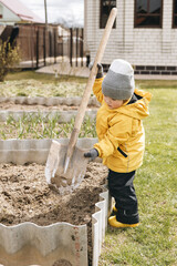 Cute little boy in yellow jacket and bright rubber boots in vegetable garden with big shovel. Child helping grows plants and vegetables in countryside in spring. Family gardening activity.