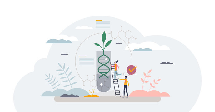 Genetic engineering in plants for agriculture research tiny person concept, transparent background.