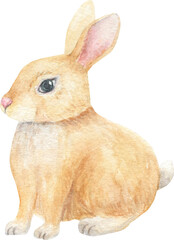 Cute bunny watercolor illustration. Easter rabbit han-painted illustration. 