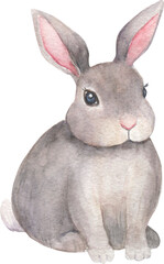 Obraz na płótnie Canvas Cute bunny watercolor illustration. Easter rabbit han-painted illustration. 