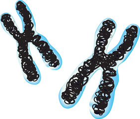 chromosome (DNA molecule is packaged into thread-like structures called chromosomes)